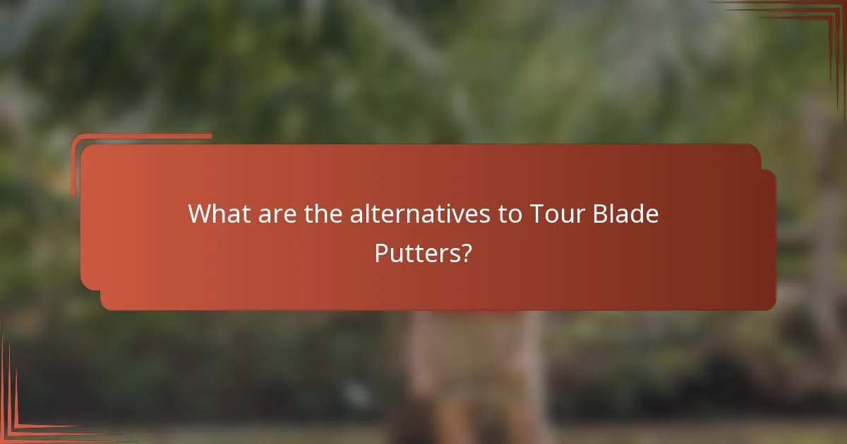 What are the alternatives to Tour Blade Putters?