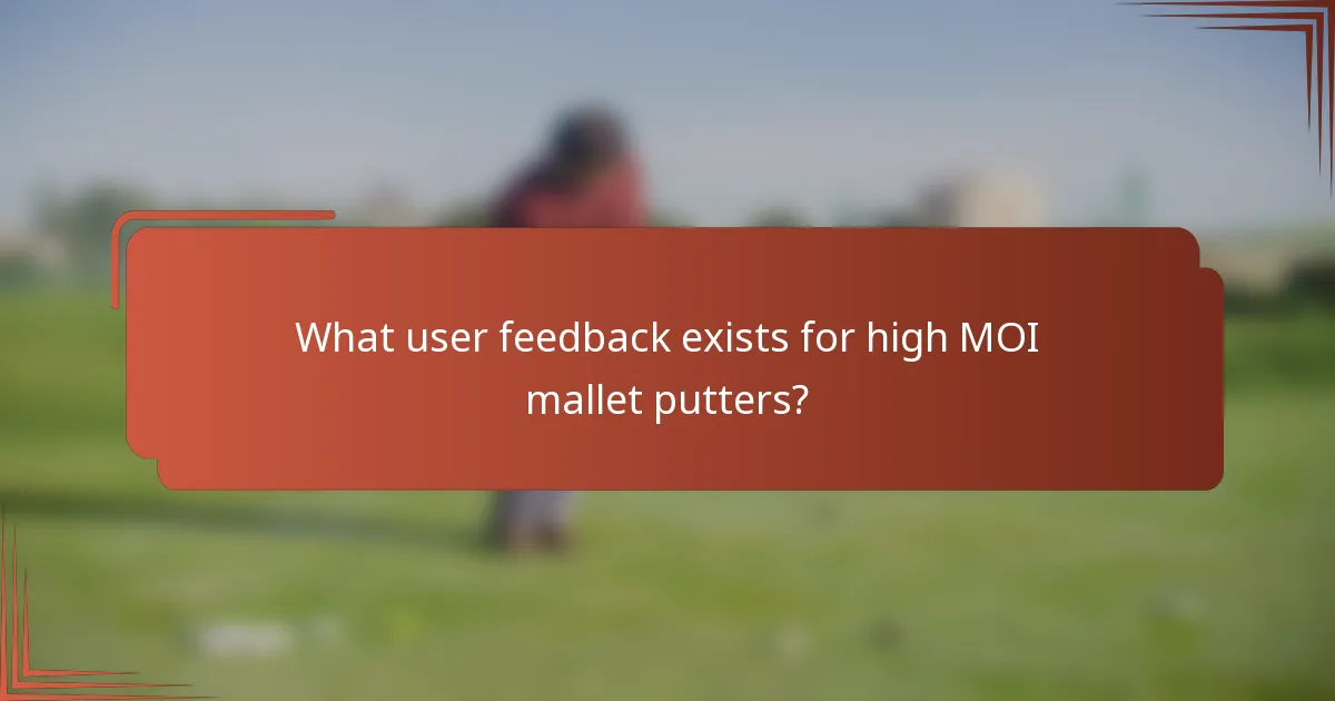 What user feedback exists for high MOI mallet putters?
