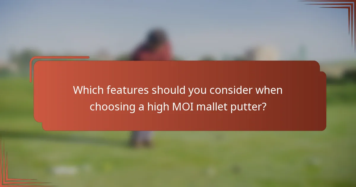 Which features should you consider when choosing a high MOI mallet putter?
