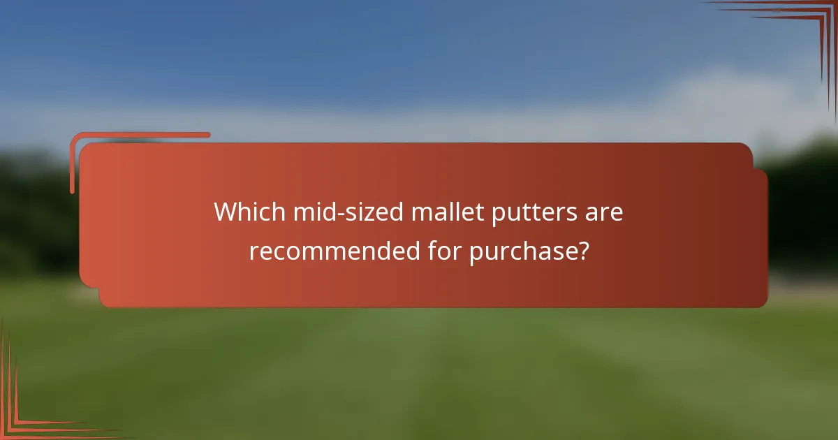 Which mid-sized mallet putters are recommended for purchase?