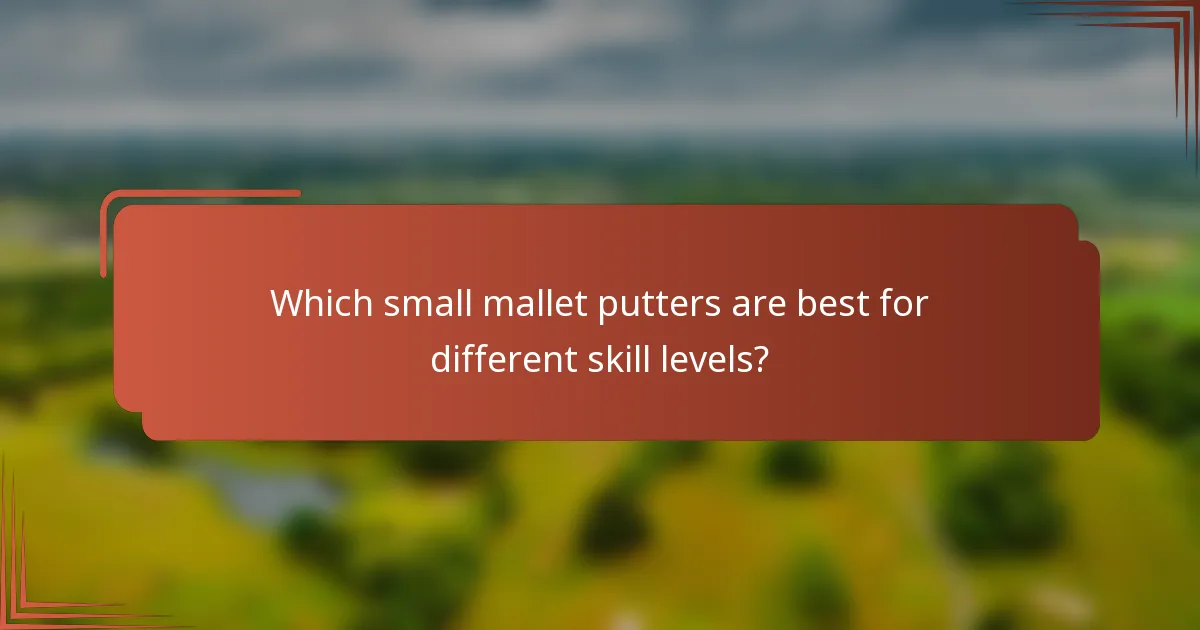 Which small mallet putters are best for different skill levels?